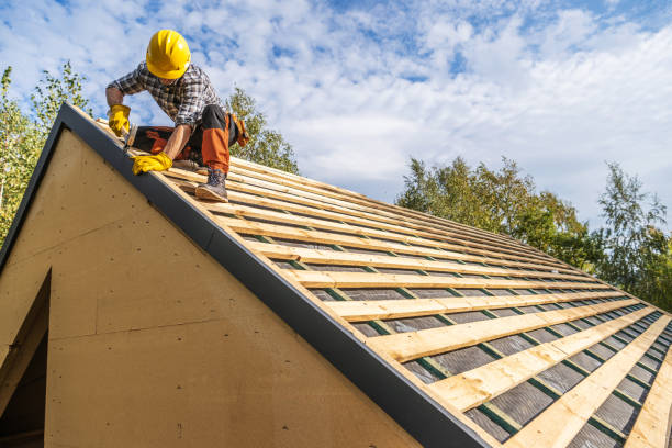 Roof Gutter Cleaning in Prattville, AL